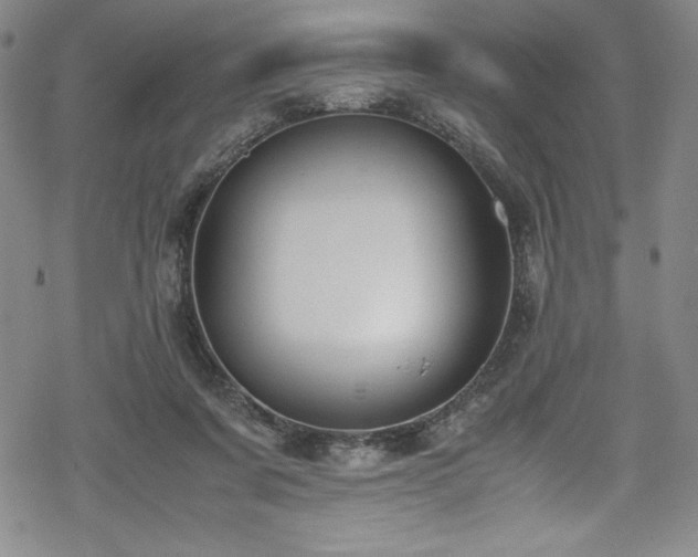 X0000069390311200605121218