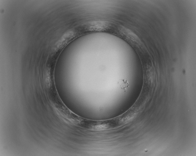 X0000069390312200605121218