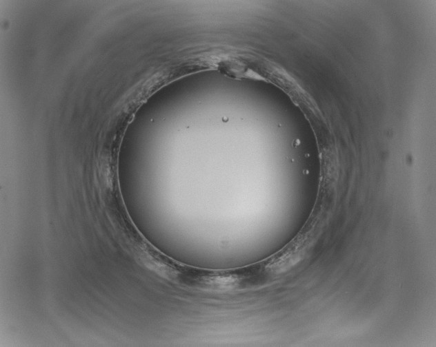 X0000069390313200605121218