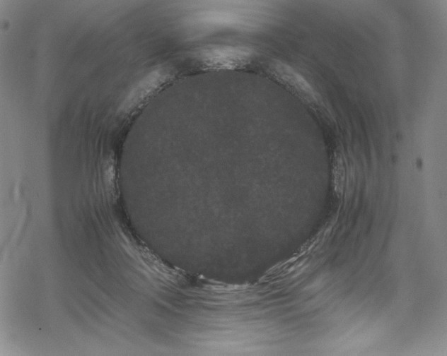 X0000069390314200605121218