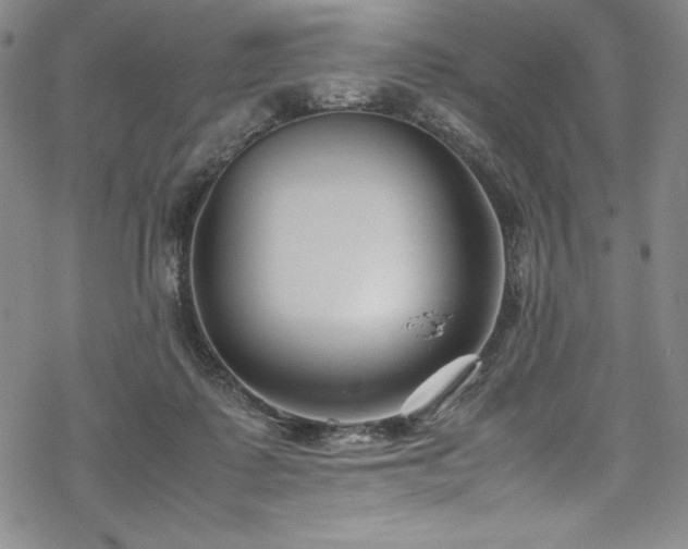 X0000069390315200605121218