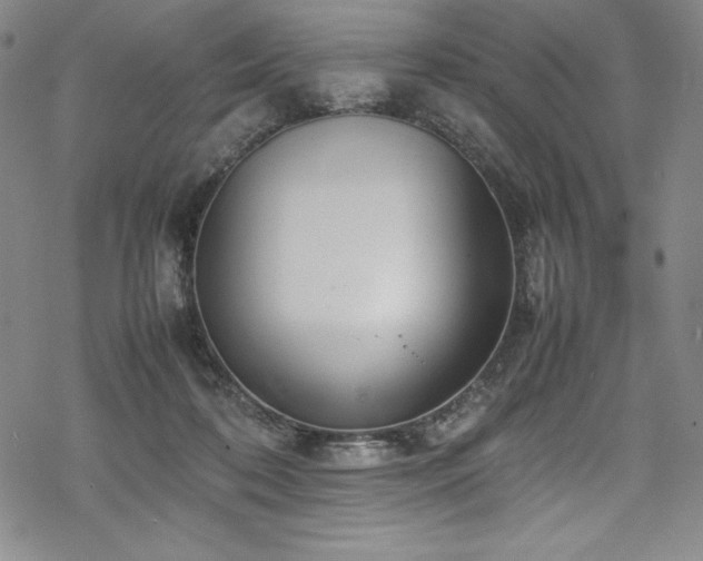 X0000069390316200605121218