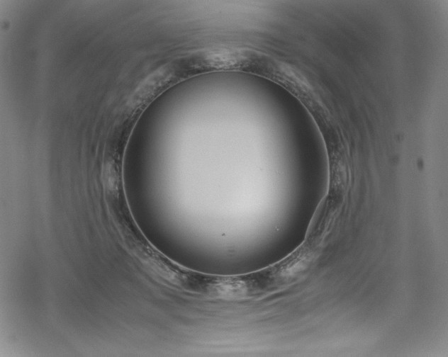 X0000069390317200605121218