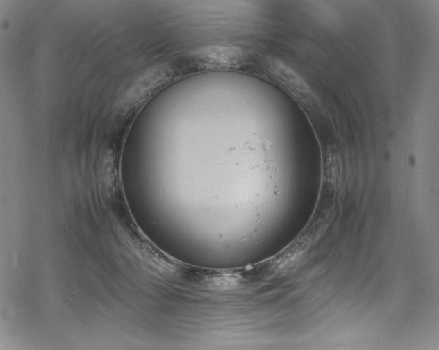 X0000069390318200605121218