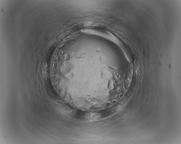 X0000069390319200605121218