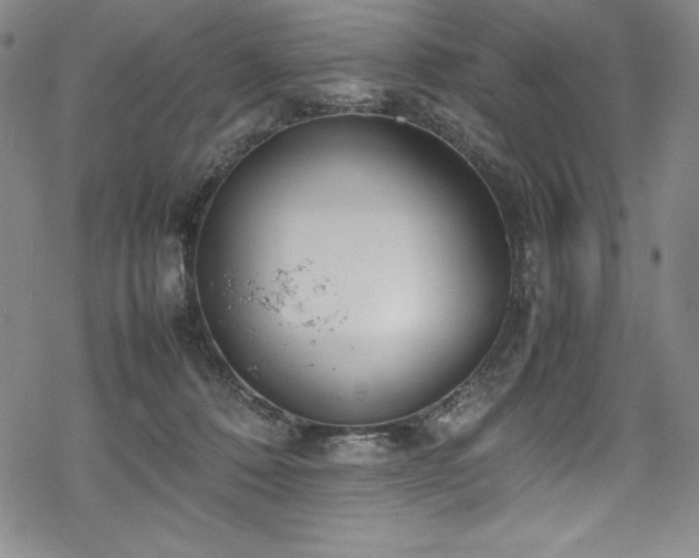 X0000069390320200605121218