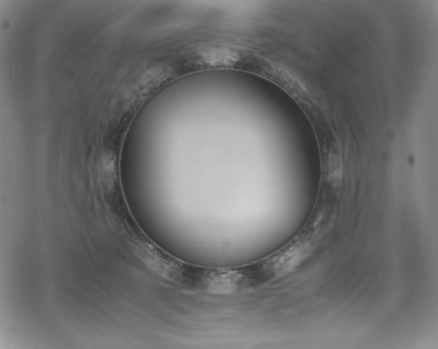 X0000069390321200605121218