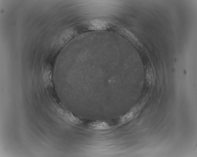 X0000069390322200605121218