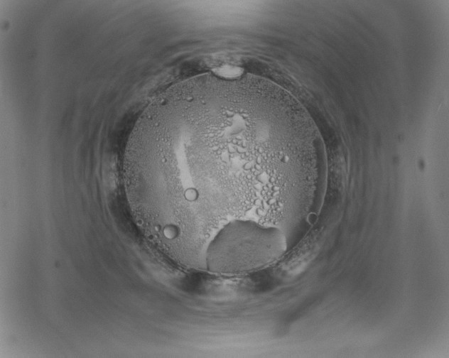 X0000069390323200605121218