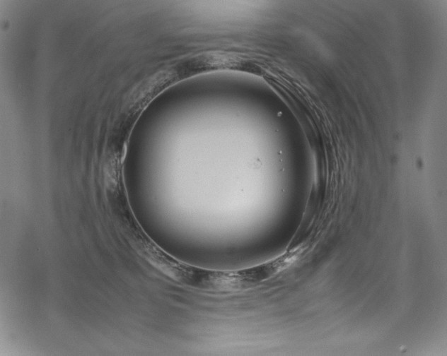 X0000069390325200605121217