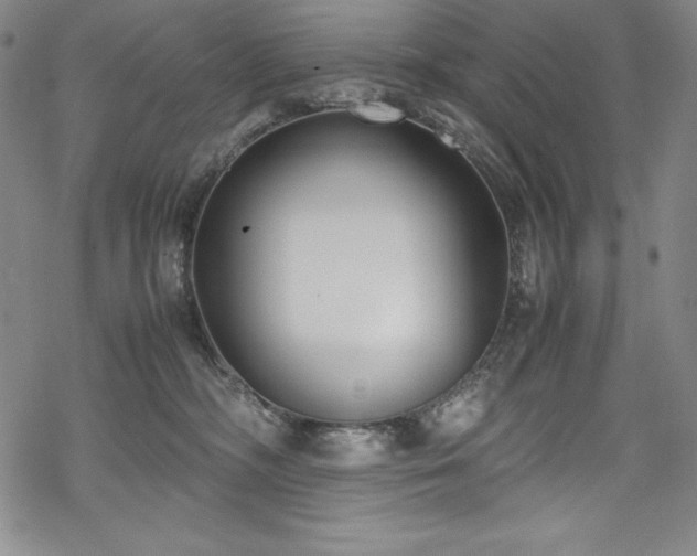 X0000069390326200605121217