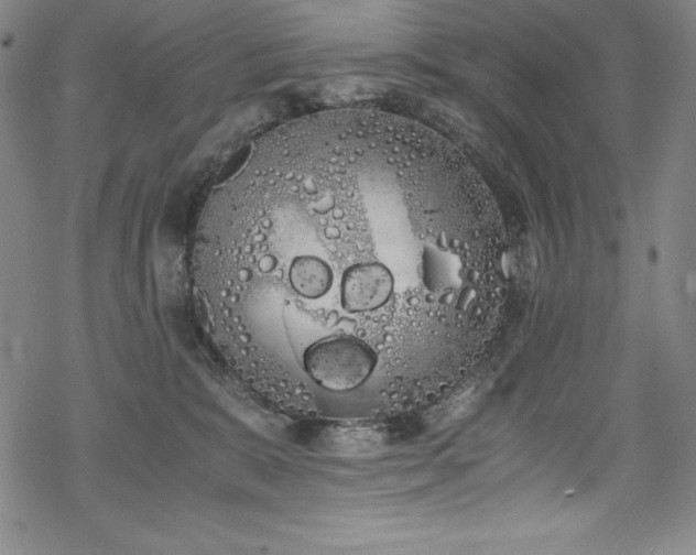 X0000069390327200605121217