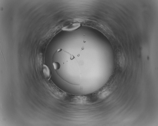 X0000069390328200605121217