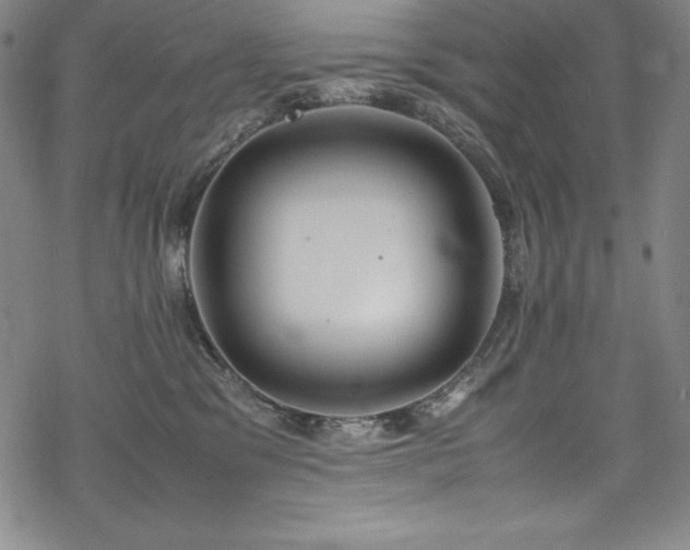 X0000069390329200605121217