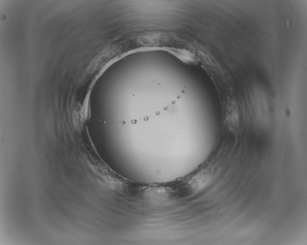 X0000069390332200605121217