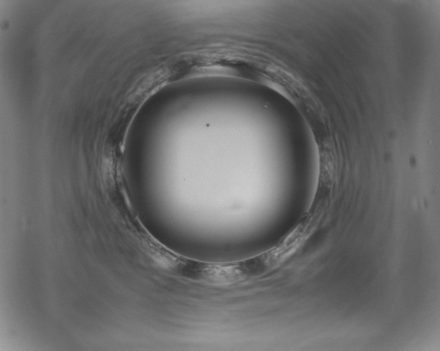 X0000069390333200605121217