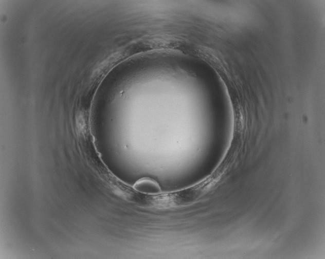 X0000069390335200605121217