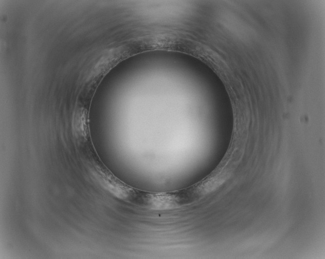 X0000069390336200605121217