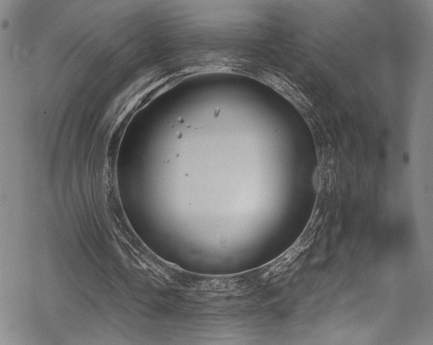 X0000069390338200605121217