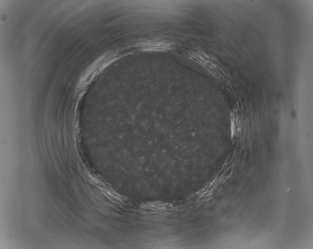 X0000069390339200605121217