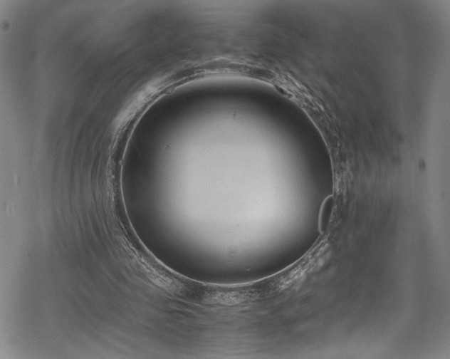 X0000069390341200605121217