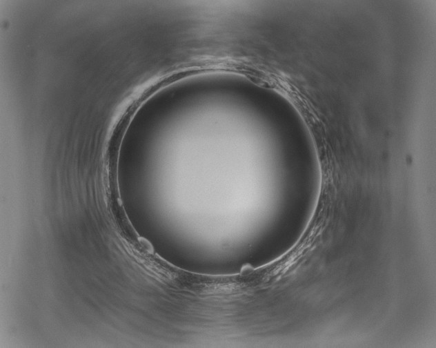 X0000069390342200605121217