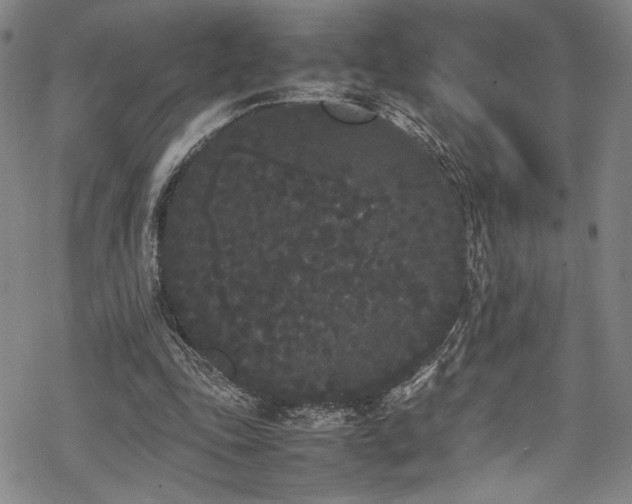 X0000069390343200605121217