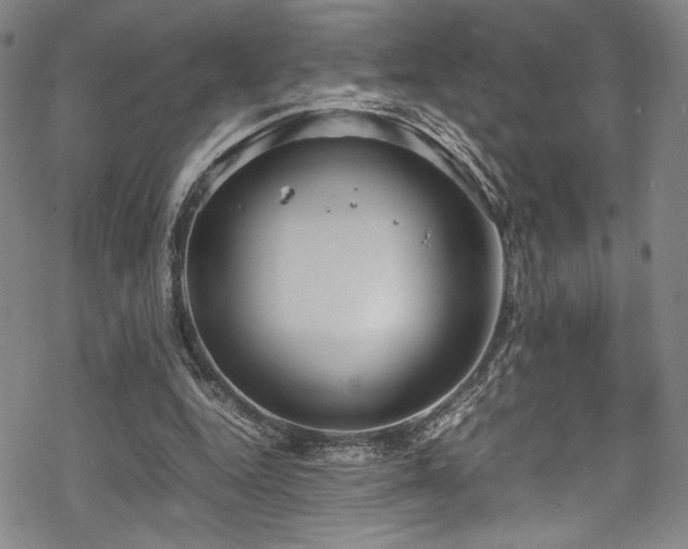 X0000069390344200605121217