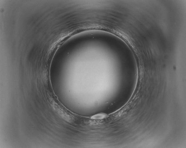 X0000069390345200605121217