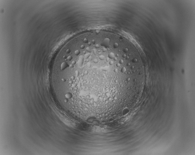 X0000069390346200605121217