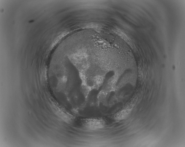 X0000069390347200605121217