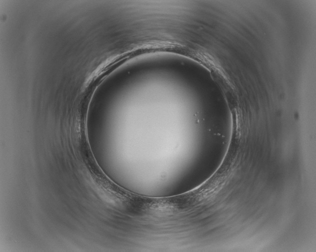 X0000069390348200605121217