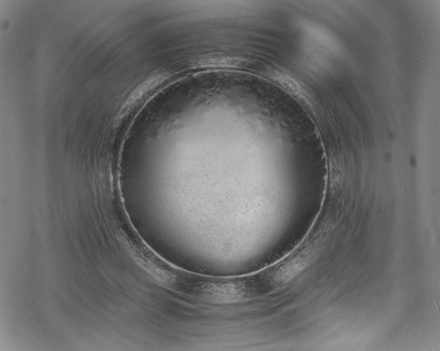 X0000069390349200605121217