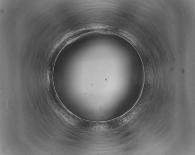 X0000069390350200605121217