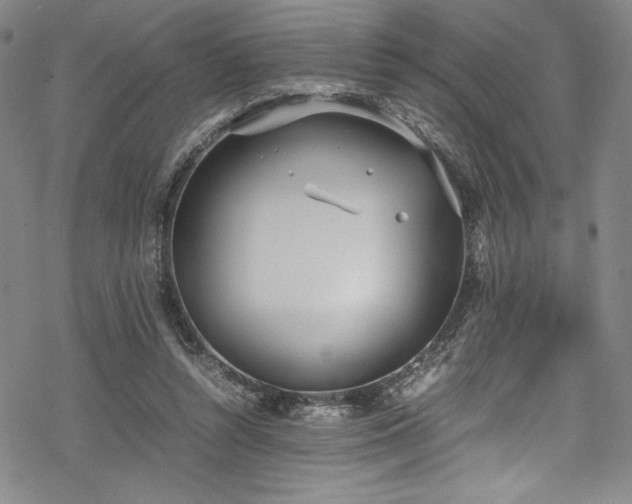 X0000069390352200605121217