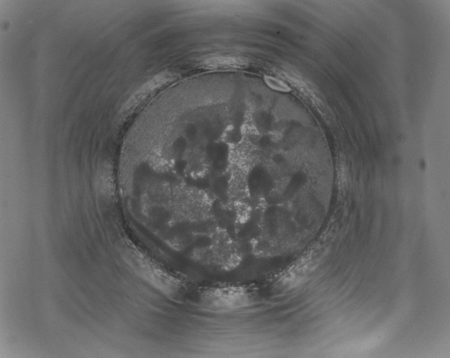 X0000069390353200605121217