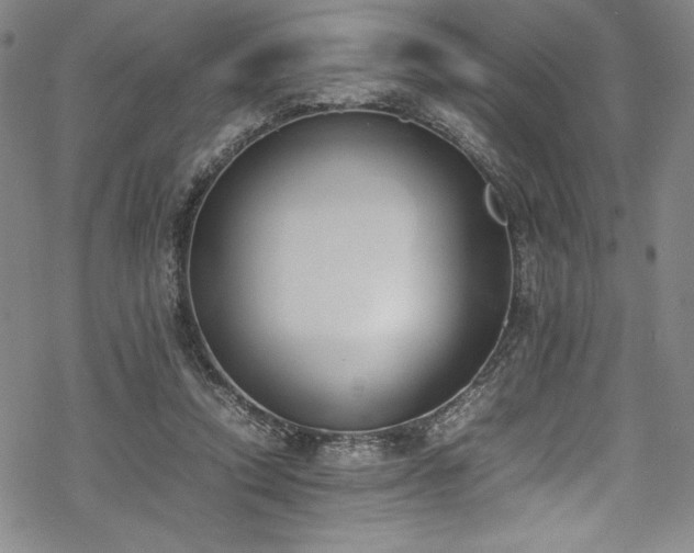 X0000069390354200605121217