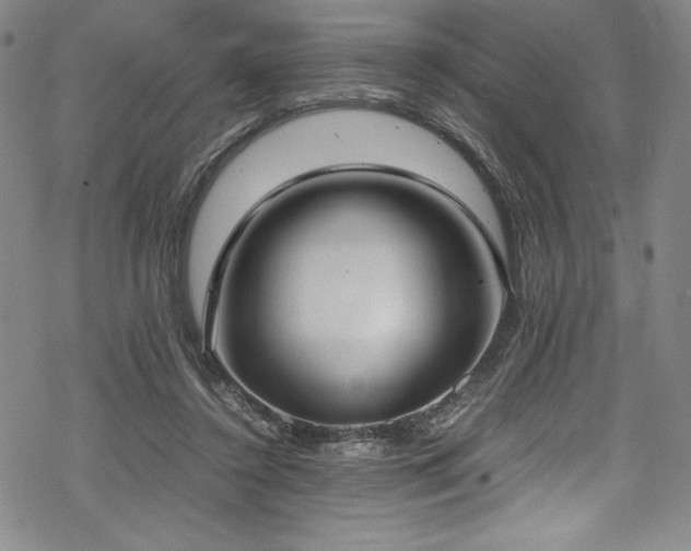 X0000069390356200605121217