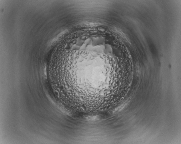 X0000069390358200605121217