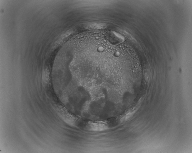 X0000069390359200605121217