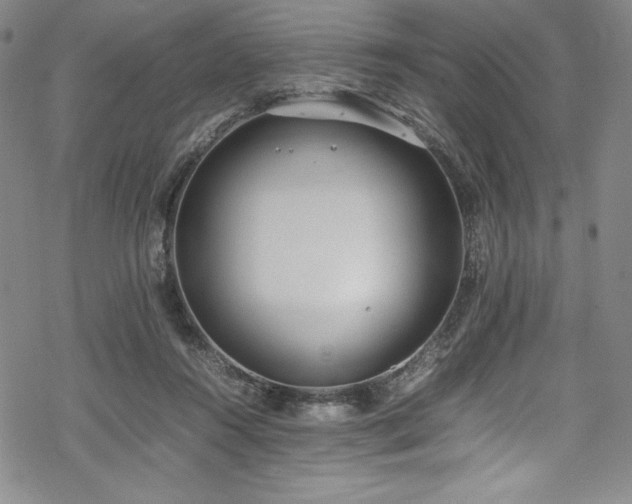 X0000069390360200605121217