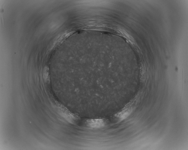 X0000069390361200605121217