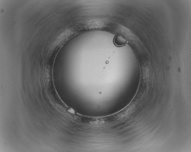 X0000069390362200605121217