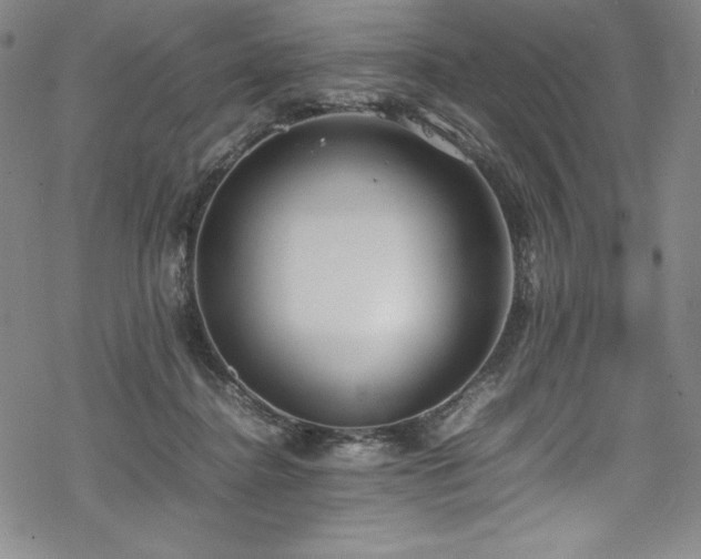 X0000069390364200605121217