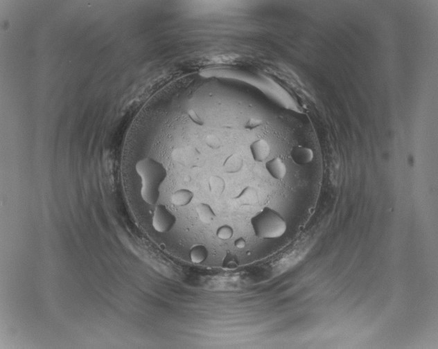 X0000069390366200605121217