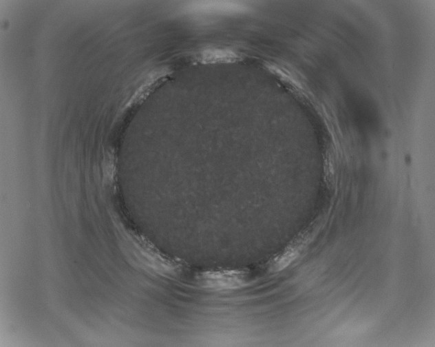 X0000069390367200605121217