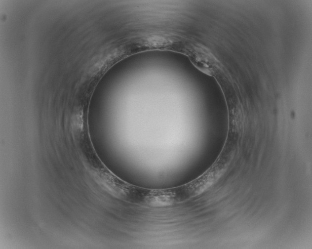 X0000069390368200605121217