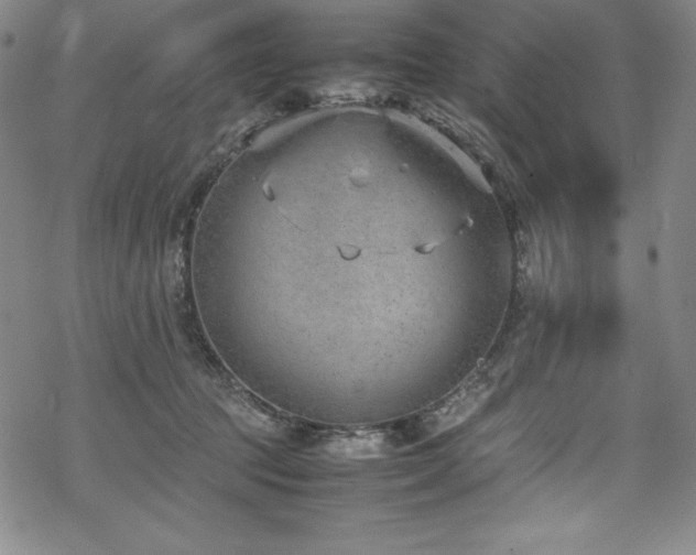 X0000069390369200605121217