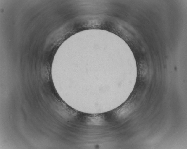 X0000069390370200605121217