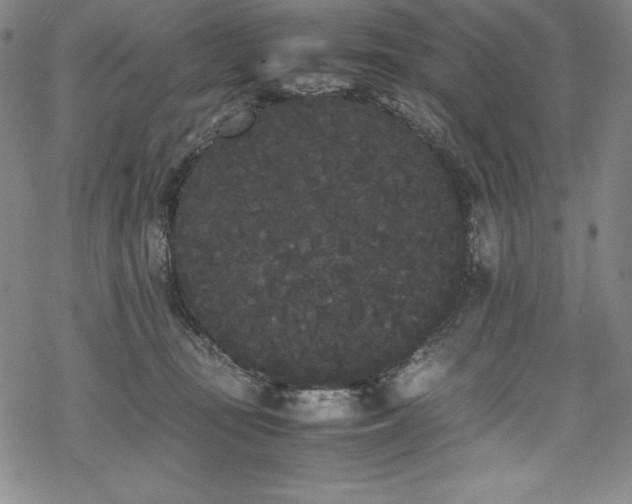 X0000069390371200605121217